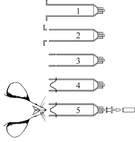 sequential testing snout and spin